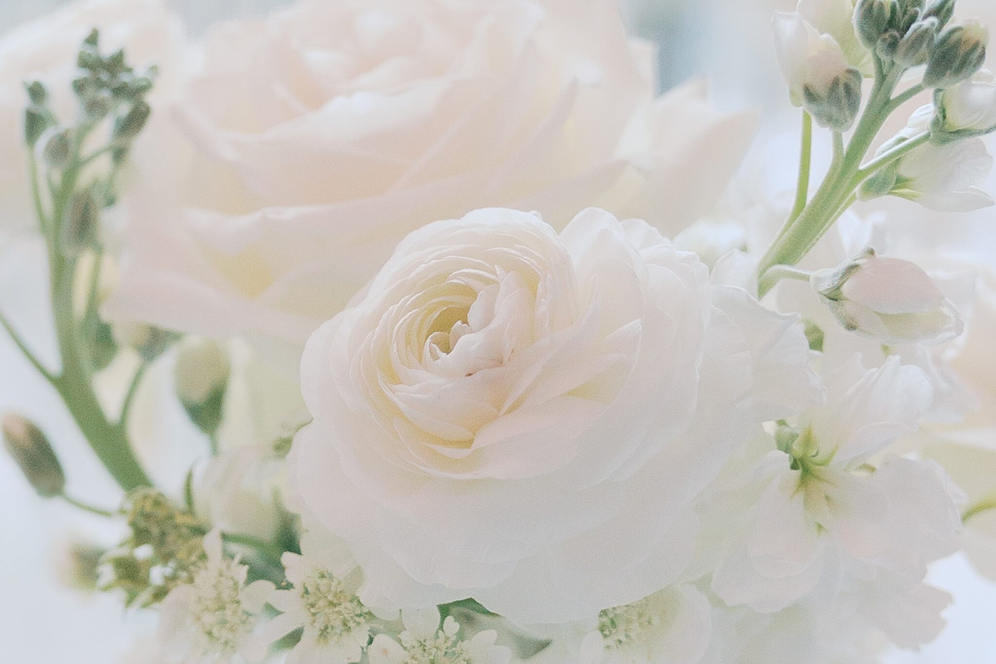 Details of a white rose in a bouquet